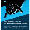 How Domestic Violence Perpetrators Manipulate Systems